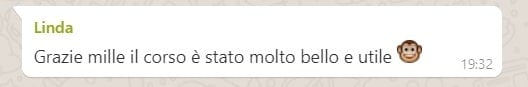 Manga Scout - Corso di Manga Online per bambini 5 Corso di manga online per ragazzi delle scuole medie