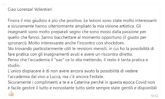 Lucca Manga School